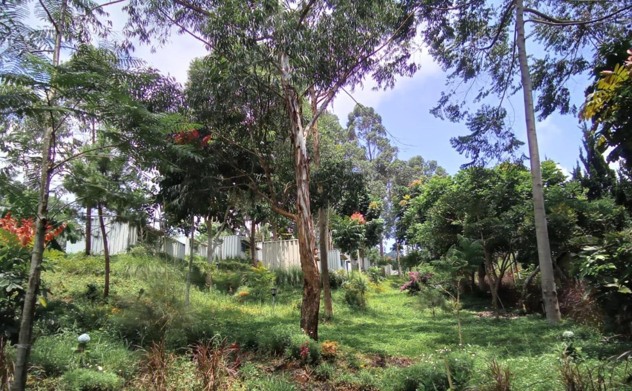 Hotel Bukit Pinus Tegalharendong Esterno foto