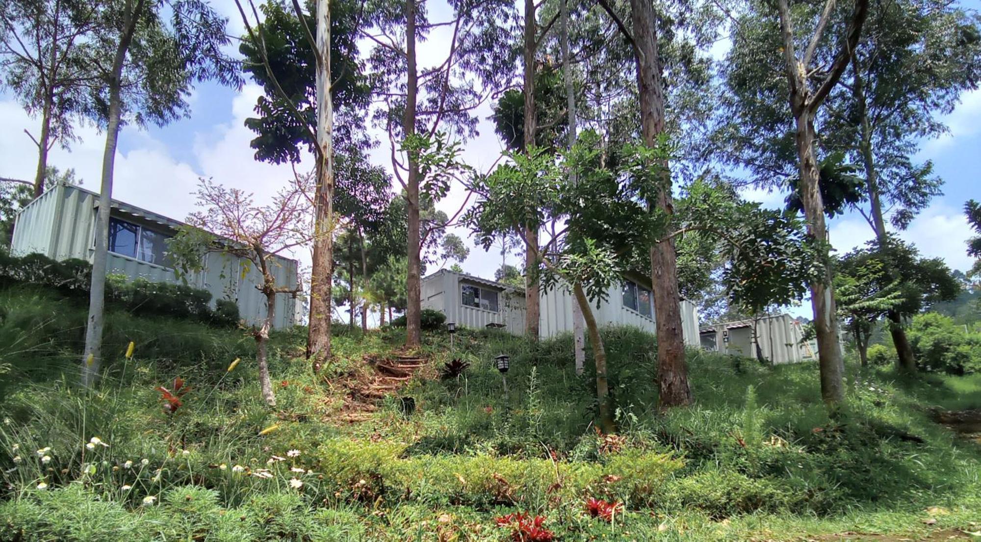 Hotel Bukit Pinus Tegalharendong Esterno foto
